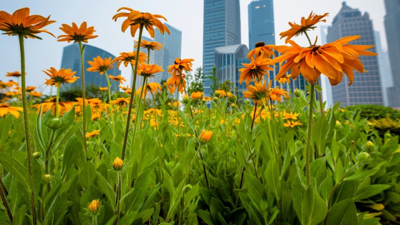 一体化电子节能灯
